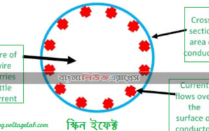 স্কিন ইফেক্ট কি? ট্রান্সমিশন লাইনে স্কিন ইফেক্ট এর প্রভাব ও স্কিন ইফেক্ট কমানোর উপায়।