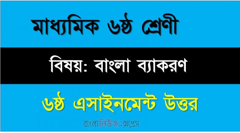 বাংলা ব্যাকরণ ৬ষ্ঠ শ্রেণীর সমাধান ৬ষ্ঠ অ্যাসাইনমেন্টর উত্তর