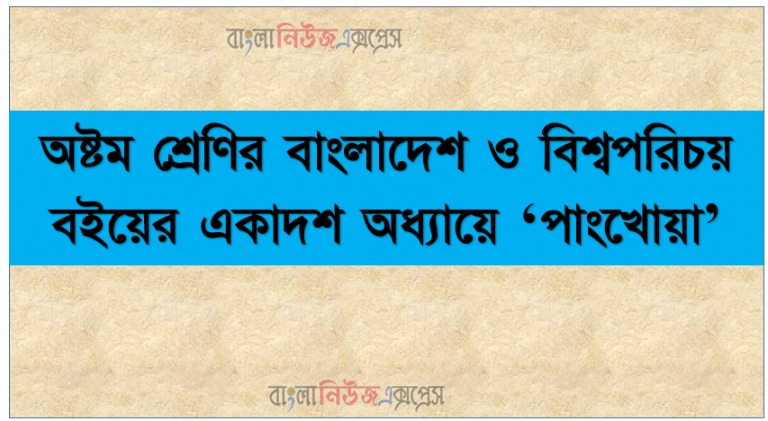 অষ্টম শ্রেণির বাংলাদেশ ও বিশ্বপরিচয় বইয়ের একাদশ অধ্যায়ে ‘পাংখোয়া’