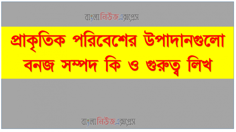 প্রাকৃতিক পরিবেশের উপাদানগুলো বনজ সম্পদ কি ও গুরুত্ব লিখ