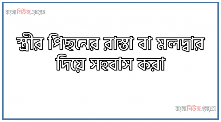 স্ত্রীর পিছনের রাস্তা বা মলদ্বার দিয়ে সহবাস করা