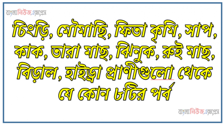 চিংড়ি, মৌমাছি, ফিতা কৃমি, সাপ, কাক, তারা মাছ, ঝিনুক, রুই মাছ, বিড়াল, হাইড্রা প্রাণীগুলাে থেকে যে কোনাে ৮টির পর্ব, বৈশিষ্ট্য ও বাসস্থান উল্লেখ করে একটি ছক তৈরি কর।