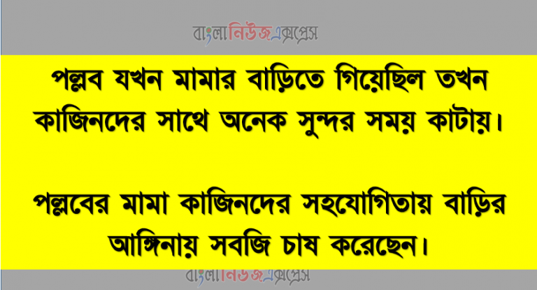 পল্লব যখন মামার বাড়িতে গিয়েছিল তখন কাজিনদের সাথে অনেক সুন্দর সময় কাটায়, পল্লবের মামা কাজিনদের সহযোগিতায় বাড়ির আঙ্গিনায় সবজি চাষ করেছেন।