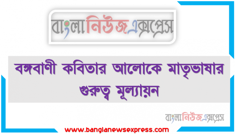 বঙ্গবাণী কবিতার আলোকে মাতৃভাষার গুরুত্ব মূল্যায়ন, কবি আবদুল হাকিমের মাতৃভাষায় গ্রন্থ রচনায় কারণ