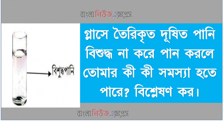 গ্লাসে তৈরিকৃত দূষিত পানি বিশুদ্ধ না করে পান করলে তােমার কী কী সমস্যা হতে পারে? বিশ্লেষণ কর।