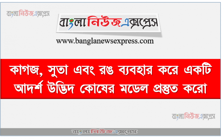 কাগজ, সুতা এবং রঙ ব্যবহার করে একটি আদর্শ উদ্ভিদ কোষের মডেল প্রস্তুত করো