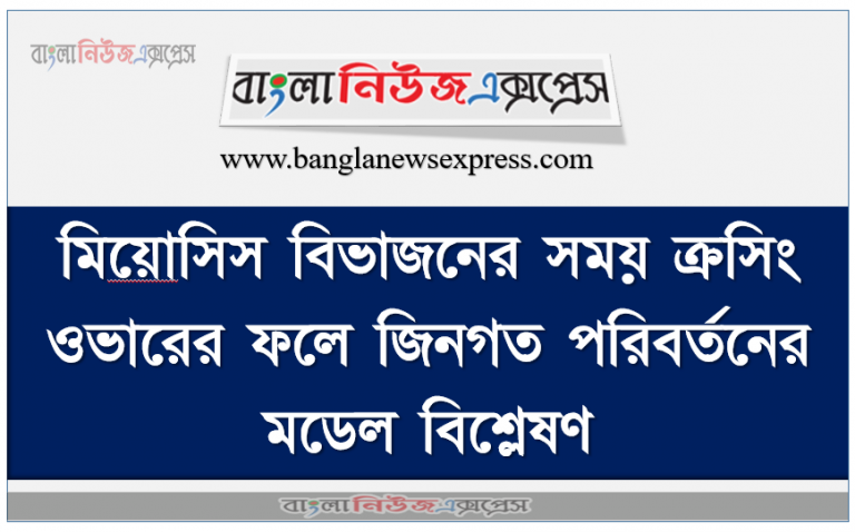 মিয়ােসিস বিভাজনের সময় ক্রসিং ওভারের ফলে জিনগত পরিবর্তনের মডেল বিশ্লেষণ