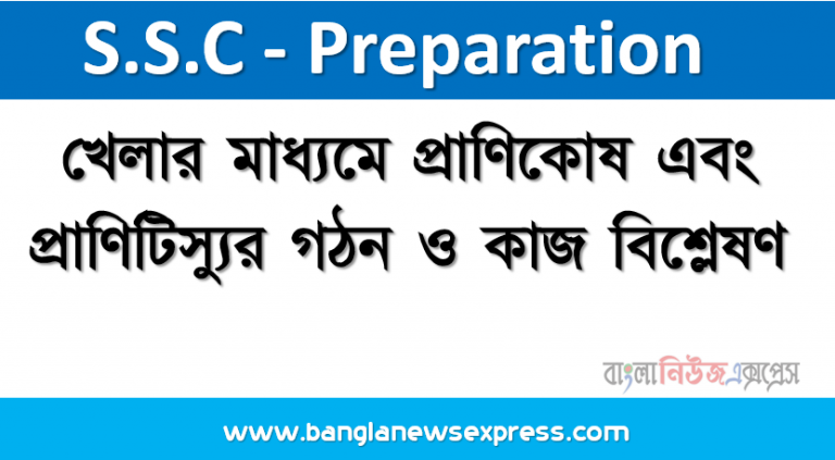 খেলার মাধ্যমে প্রাণিকোষ এবং প্রাণিটিস্যুর গঠন ও কাজ বিশ্লেষণ; প্রথমে জীববিজ্ঞান পাঠ্যপুস্তকের ৩৩-৪২ নং পৃষ্ঠা পাঠ করতে হবে।