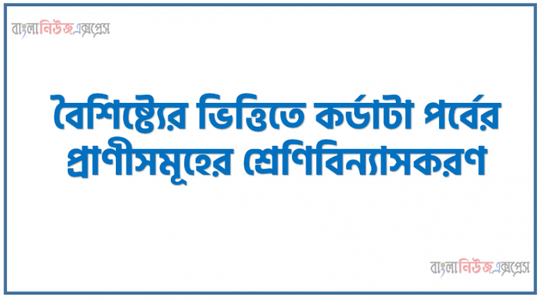 বৈশিষ্ট্যের ভিত্তিতে কর্ডাটা পর্বের প্রাণীসমূহের শ্রেণিবিন্যাসকরণ, পাঠ্যপুস্তকে কর্ডাটা পর্বের যে শ্রেণিবিন্যাসে ৩ টি উপপর্ব,