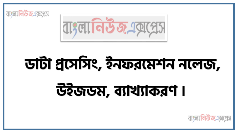 ডাটা প্রসেসিং, ইনফরমেশন নলেজ, উইজডম, ব্যাখ্যাকরণ