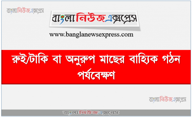 রুই/টাকি বা অনুরুপ মাছের বাহ্যিক গঠন পর্যবেক্ষণ, মাছের দেহের আকার পরিমাপের সময় সর্বোচ্চ দৈর্ঘ্য হিসেবে মুখ থেকে লেজের শেষ প্রান্ত পর্যন্ত মাপ নিতে হবে।