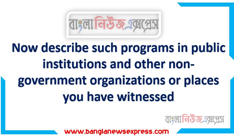 Now describe such programs in public institutions and other non-government organizations or places you have witnessed