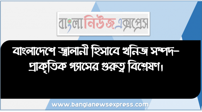 বাংলাদেশে জ্বালানী হিসাবে খনিজ সম্পদ-প্রাকৃতিক গ্যাসের গুরুত্ব বিশ্লেষণ। বাংলাদেশের বাণ্যিজ্যিক ভূগোল (খনিজ সম্পদ)