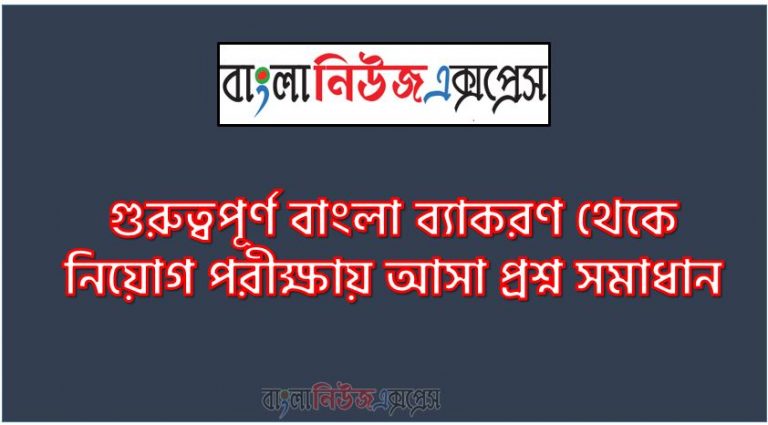 গুরুত্বপূর্ণ বাংলা ব্যাকরণ থেকে নিয়োগ পরীক্ষায় আসা প্রশ্ন সমাধান, নিয়োগ পরিক্ষার জন্য ১০০% কমন গুরুত্বপূর্ণ বাংলা ব্যাকরণ এক সাথে, যেকোন চাকরির পরীক্ষায় বার বার আসা কিছু গুরুত্বপূর্ণ গুরুত্বপূর্ণ বাংলা ব্যাকরণ