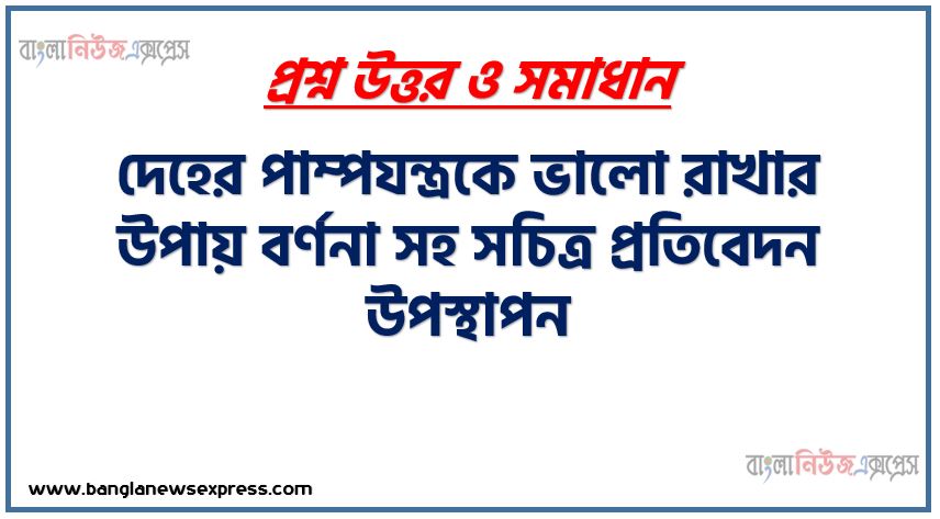 দেহের পাম্পযন্ত্রকে ভালো রাখার উপায় বর্ণনা সহ সচিত্র প্রতিবেদন উপস্থাপন,শরীরের রক্ত সঞ্চালন কার্যক্রম ব্যাখ্যা করতে পারবে,হৃদযন্ত্র কে ভালো রাখার উপায় বর্ণনা করতে পারবে,হৃদপিন্ডের চিহ্নিত চিত্র অংকন,হৃদযন্ত্র কে ভালো রাখার উপায় বর্ণনা,হূদরোগ হতে সুরক্ষিত থাকার উপায় সমূহ বর্ণনা