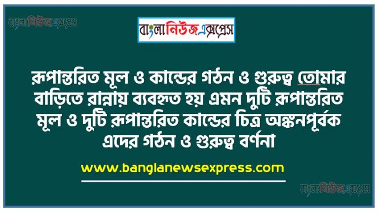 রূপান্তরিত মূল ও কান্ডের গঠন ও গুরুত্ব তােমার বাড়িতে রান্নায় ব্যবহৃত হয় এমন দুটি রূপান্তরিত মূল ও দুটি রূপান্তরিত কান্ডের চিত্র অঙ্কনপূর্বক এদের গঠন ও গুরুত্ব বর্ণনা, রূপান্তরিত মূলের গঠন ব্যাখ্যা করতে পারব, রূপান্তরিত কান্ডের গঠন ব্যাখ্যা করতে পারব