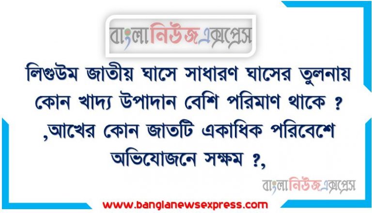 লিগুউম জাতীয় ঘাসে সাধারণ ঘাসের তুলনায় কোন খাদ্য উপাদান বেশি পরিমাণ থাকে ? ,আখের কোন জাতটি একাধিক পরিবেশে অভিযোজনে সক্ষম ?,ম্যানগ্রোভ বনের প্রধান বৃক্ষ কোনটি? ,ঝুঁকিপূর্ণ কর্তন প্রক্রিয়া হলো-,কোন চিত্রটিতে কাঠের পরিমাণ কম হবে?,কোন ভূমিক্ষয়ের কারণে জমির উর্বরতা হ্রাস পায়?