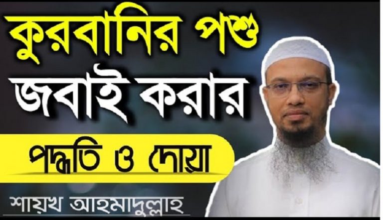 কুরবানি পশু জবাই করার পদ্ধতি ও দোয়া,হালাল উপায়ে কোরবানির পশু জবাই করার নিয়ম ও পদ্ধতি, কুরবানির পশু জবাইয়ের দোয়া ও পদ্ধতি, কোরবানীর পশু জবাই করার সময় কি বলবে?