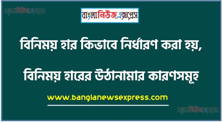 বিনিময় হার কিভাবে নির্ধারণ করা হয়, বিনিময় হারের উঠানামার কারণসমূহ, বিনিময় হার কিভাবে এবং কার দ্বারা বিনিময় হার নির্ধারণ করা হয়?, বৈদেশিক মুদ্রার হার কিভাবে নির্ধারণ করা হয়, বৈদেশিক বিনিময় হার উঠা-নামার কারনগুলো উল্লেখ কর, বিনিময় হারের ওঠা-নামার পরিপ্রেক্ষিতে দেশের আপৎকালীন