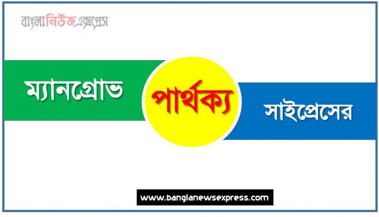 ম্যানগ্রোভ ও সাইপ্রেসের পার্থক্য, ম্যানগ্রোভ vs সাইপ্রেসের পার্থক্য, ম্যানগ্রোভ ও সাইপ্রেসের তুলনামূলক আলোচনা, সাইপ্রেসের ও ম্যানগ্রোভ মধ্যে পার্থক্য, ম্যানগ্রোভ ও সাইপ্রেসের কাকে বলে,তুলনা ম্যানগ্রোভ: ম্যানগ্রোভ ও সাইপ্রেসের আলোচনা