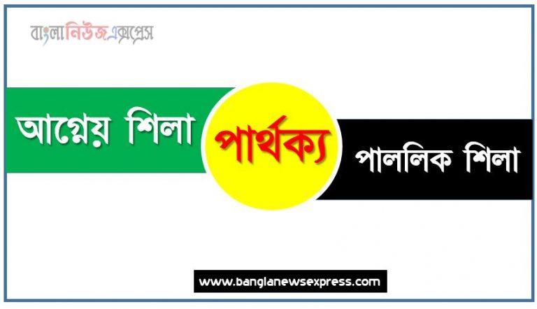 আগ্নেয় শিলা ও পাললিক শিলা পার্থক্য, আগ্নেয় শিলা vs পাললিক শিলা পার্থক্য, আগ্নেয় শিলা ও পাললিক শিলা তুলনামূলক আলোচনা, পাললিক শিলা ও আগ্নেয় শিলা মধ্যে পার্থক্য, আগ্নেয় শিলা ও পাললিক শিলা কাকে বলে,তুলনা আগ্নেয় শিলা: আগ্নেয় শিলা ও পাললিক শিলা আলোচনা