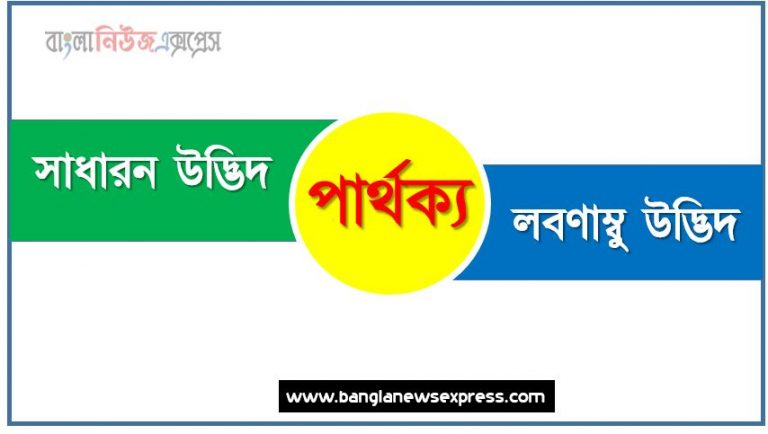 সাধারন উদ্ভিদ ও লবণাম্বু উদ্ভিদ পার্থক্য, সাধারন উদ্ভিদ vs লবণাম্বু উদ্ভিদ পার্থক্য, সাধারন উদ্ভিদ ও লবণাম্বু উদ্ভিদ তুলনামূলক আলোচনা, লবণাম্বু উদ্ভিদ ও সাধারন উদ্ভিদ মধ্যে পার্থক্য, সাধারন উদ্ভিদ ও লবণাম্বু উদ্ভিদ কাকে বলে,তুলনা সাধারন উদ্ভিদ: সাধারন উদ্ভিদ ও লবণাম্বু উদ্ভিদ আলোচনা