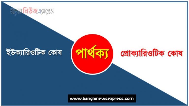 ইউক্যারিওটিক কোষ ও প্রোক্যারিওটিক কোষ পার্থক্য, ইউক্যারিওটিক কোষ vs প্রোক্যারিওটিক কোষ পার্থক্য, ইউক্যারিওটিক কোষ ও প্রোক্যারিওটিক কোষ তুলনামূলক আলোচনা, প্রোক্যারিওটিক কোষ ও ইউক্যারিওটিক কোষ মধ্যে পার্থক্য