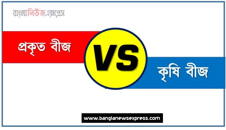 প্রকৃত বীজ ও কৃষি বীজ পার্থক্য, প্রকৃত বীজ vs কৃষি বীজ পার্থক্য, প্রকৃত বীজ ও কৃষি বীজ তুলনামূলক আলোচনা, কৃষি বীজ ও প্রকৃত বীজ মধ্যে পার্থক্য, প্রকৃত বীজ ও কৃষি বীজ কাকে বলে,তুলনা প্রকৃত বীজ: প্রকৃত বীজ ও কৃষি বীজ আলোচনা