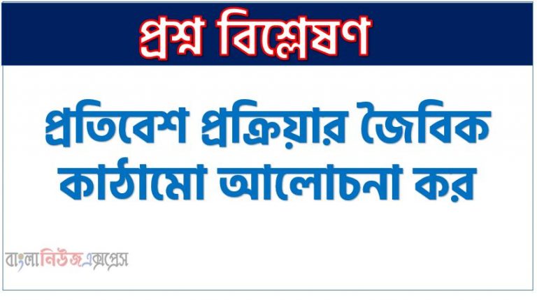 প্রতিবেশ প্রক্রিয়ার জৈবিক কাঠামো আলোচনা কর, প্রতিবেশ প্রক্রিয়ার জৈবিক কাঠামোগুলোর শ্রেণিবিভাগ আলোচনা , প্রতিবেশ প্রক্রিয়ার জৈবিক কাঠামোর পরিচয় উল্লেখ কর, প্রতিবেশ প্রক্রিয়ার জৈবিক শ্রেণিবিন্যাসসমূহ বর্ণনা কর।