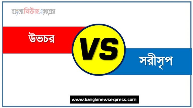 উভচর ও সরীসৃপ পার্থক্য, উভচর vs সরীসৃপ পার্থক্য, উভচর ও সরীসৃপ তুলনামূলক আলোচনা, সরীসৃপ ও উভচর মধ্যে পার্থক্য, উভচর ও সরীসৃপ কাকে বলে,তুলনা উভচর: উভচর ও সরীসৃপ আলোচনা