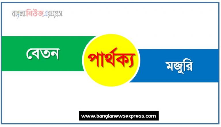 বেতন ও মজুরি পার্থক্য, বেতন vs মজুরি পার্থক্য, বেতন ও মজুরি তুলনামূলক আলোচনা, মজুরি ও বেতন মধ্যে পার্থক্য, বেতন ও মজুরি কাকে বলে,তুলনা বেতন: বেতন ও মজুরি আলোচনা