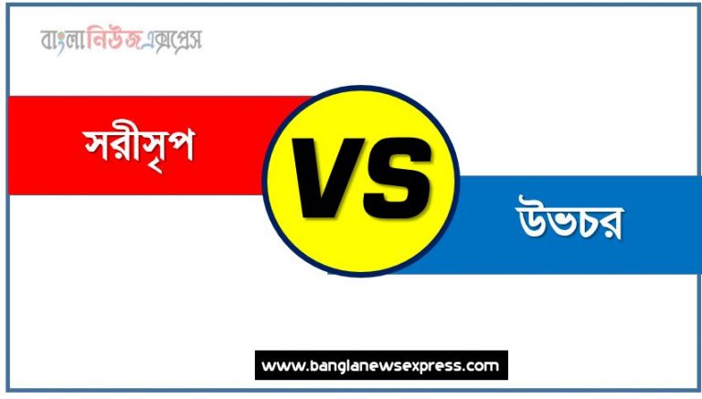 সরীসৃপ ও উভচর পার্থক্য, সরীসৃপ vs উভচর পার্থক্য, সরীসৃপ ও উভচর তুলনামূলক আলোচনা, উভচর ও সরীসৃপ মধ্যে পার্থক্য, সরীসৃপ ও উভচর কাকে বলে,তুলনা সরীসৃপ: সরীসৃপ ও উভচর আলোচনা