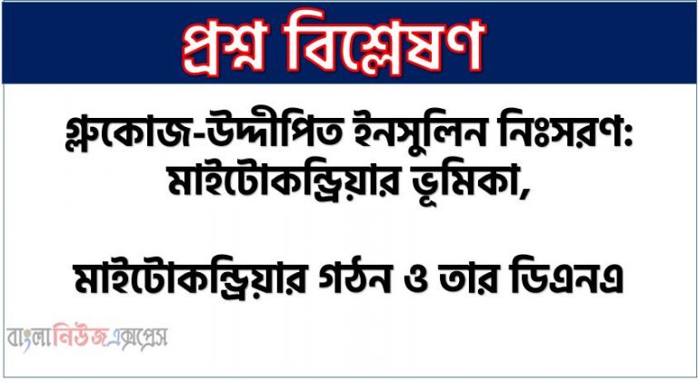 গ্লুকোজ-উদ্দীপিত ইনসুলিন নিঃসরণ: মাইটোকন্ড্রিয়ার ভূমিকা, মাইটোকন্ড্রিয়ার গঠন ও তার ডিএনএ, অক্সিডেটিভ ফসফোরিলেশন (OXFOS),পটাসিয়াম চ্যানেল (Potassium channel), ইনসুলিন নিঃসরণে মাইটোকন্ড্রিয়ার TCA চক্রের ভূমিকা, ATP-নির্ভর ইনসুলিন নিঃসরণ, ATP-অনির্ভর ইনসুলিন নিঃসরণ