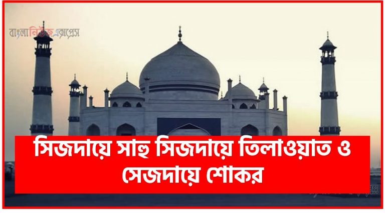 সিজদায়ে সাহু সিজদায়ে তিলাওয়াত ও সেজদায়ে শোকর,সাহু সিজদা করার নিয়ম,সাহু সিজদা,সাহু সিজদা কিভাবে করতে হয়,সাহু সিজদার সহিহ নিয়ম,সাহু সিজদা করার সঠিক নিয়ম,সাহু সিজদা দেওয়ার নিয়ম,সাহু সিজদা কখন দিতে হয়