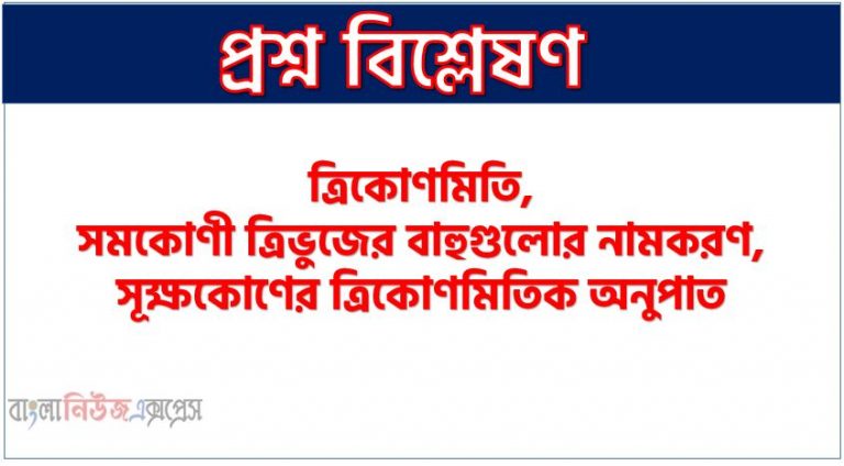 ত্রিকোণমিতি,সমকোণী ত্রিভুজের বাহুগুলোর নামকরণ, সূক্ষকোণের ত্রিকোণমিতিক অনুপাত, সূক্ষকোণের ত্রিকোণমিতিক অনুপাতের চিত্রগত ব্যাখ্যা , ত্রিকোণমিতিক অভেদাবলি পিথাগোরাসের প্রতিজ্ঞা ব্যবহার করে যে সম্পর্ক পাওয়া যায় তা হলো