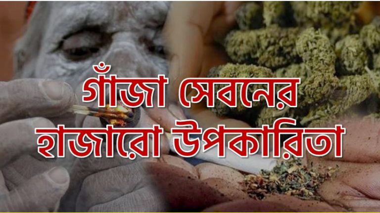 গাঁজা সেবনের হাজারো উপকারিতা, গাঁজা খেলে কী কী উপকার হয়?, গাঁজা পরিমাণমতো সেবনে অনেক উপকার