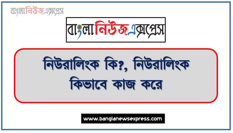 নিউরালিংক কি?, নিউরালিংক কিভাবে কাজ করে?,নিউরালিংক এর কাজ,নিউরালিংক এর কার্যাবলীর