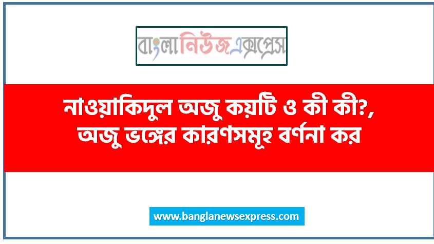 নাওয়াকিদুল অজু কয়টি ও কী কী?,অজু ভঙ্গের কারণসমূহ বর্ণনা কর, অজু ভঙ্গের কারণসমূহ লিখ