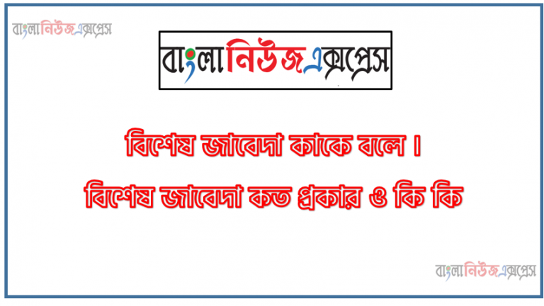 বিশেষ জাবেদা কাকে বলে । বিশেষ জাবেদা কত প্রকার ও কি কি । বিশেষ জাবেদা সুবিধা ও অসুবিধা । বিশেষ জাবেদা গুরুত্ব