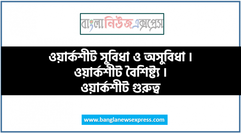 ওয়ার্কশীট কাকে বলে । ওয়ার্কশীট কত প্রকার ও কি কি । ওয়ার্কশীট সুবিধা ও অসুবিধা । ওয়ার্কশীট বৈশিষ্ট্য । ওয়ার্কশীট গুরুত্ব