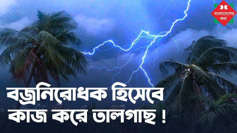 বজ্রপাত রোধে তাল গাছ, বজ্রপাতে প্রাণহানি ঠেকাতে তালগাছ লাগানো প্রয়োজন,বজ্রপাতে তালগাছ কী ভূমিকা পালন করে বা কিভাবে সহায়তা করে?