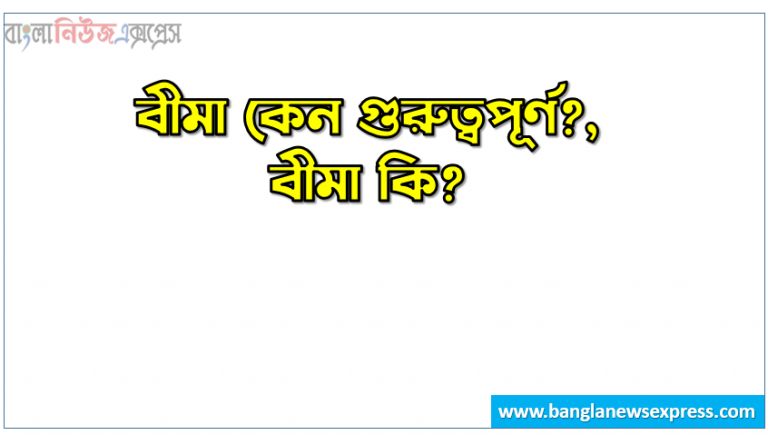 বীমা কেন গুরুত্বপূর্ণ?, বীমা কি?,বীমার সুবিধাগুলি কীভাবে কাজ করে?,আপনার কী পরিমাণ বীমা নিরাপত্তা প্রয়োজন?,বাংলাদেশে কী কী ধরণের বীমা প্রকল্প রয়েছে?