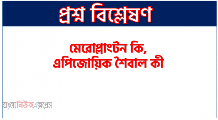 মেরোপ্লাংটন কি,এপিজোয়িক শৈবাল কী,একটি এপিফাইটিক শৈবালের নাম লিখপাইরিনয়েড কী