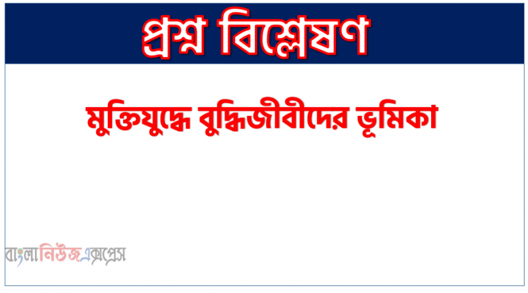 মুক্তিযুদ্ধে বুদ্ধিজীবীদের ভূমিকা, মুক্তিযুদ্ধকে সফল করতে বুদ্ধিজীবীদের অবদান ছিল, একাত্তরের মুক্তিযুদ্ধে বুদ্ধিজীবীদের ভূমিকা