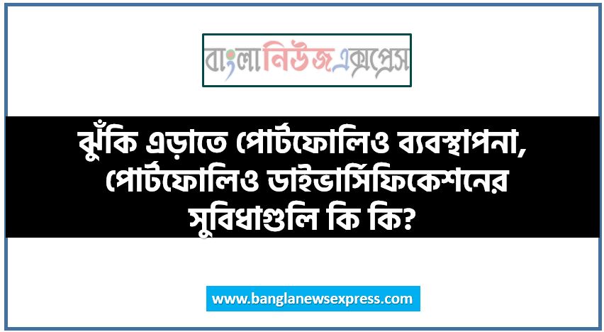 ঝুঁকি এড়াতে পোর্টফোলিও ব্যবস্থাপনা, পোর্টফোলিও ডাইভার্সিফিকেশনের সুবিধাগুলি কি কি?