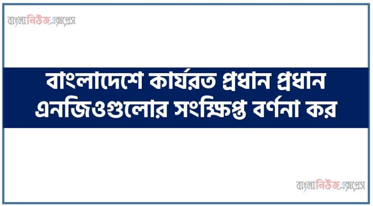 বাংলাদেশে কার্যরত প্রধান প্রধান এনজিওগুলোর সংক্ষিপ্ত বর্ণনা কর, বাংলাদেশের প্রধান প্রধান এনজিও গুলোর সংক্ষিপ্ত বিবরণ দাও