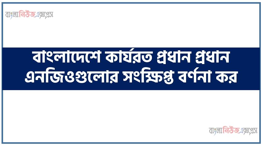 বাংলাদেশে কার্যরত প্রধান প্রধান এনজিওগুলোর সংক্ষিপ্ত বর্ণনা কর, বাংলাদেশের প্রধান প্রধান এনজিও গুলোর সংক্ষিপ্ত বিবরণ দাও