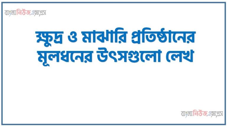 ক্ষুদ্র ও মাঝারি প্রতিষ্ঠানের মূলধনের উৎসগুলো লেখ, এসএমই ফাইন্যান্সের প্রধান উৎসগুলো আলোচনা কর, এসএমই-এর জন্য মূলধনের উৎসসমূহ বর্ণনা কর।