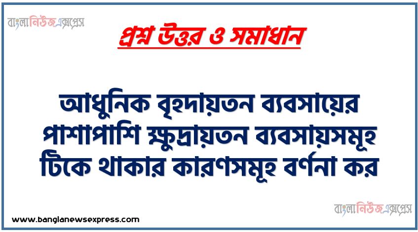 আধুনিক বৃহদায়তন ব্যবসায়ের পাশাপাশি ক্ষুদ্রায়তন ব্যবসায়সমূহ টিকে থাকার কারণসমূহ বর্ণনা কর, বহুজাতিক ব্যবসায়ের পাশাপাশি ক্ষুদ্রায়তন ব্যবসায় টিকে থাকার কারণসমূহ ব্যাখ্যা কর