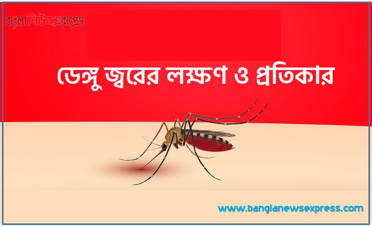 ডেঙ্গু জ্বরের লক্ষণ ও চিকিৎসা, কিভাবে বুঝবেন ডেঙ্গু হয়েছে?, ডেঙ্গু চেনার উপায় কি?